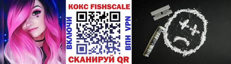 как найти закладки  Ялуторовск  Cocaine Fish Scale 