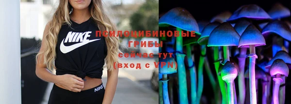 дмт Покровск