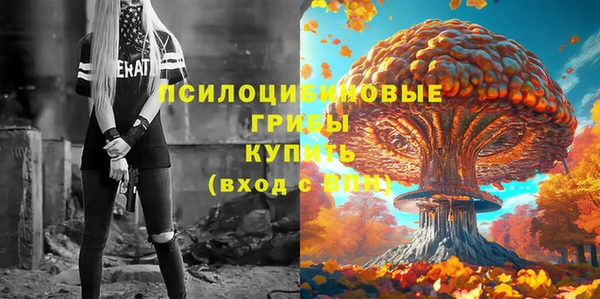дмт Покровск