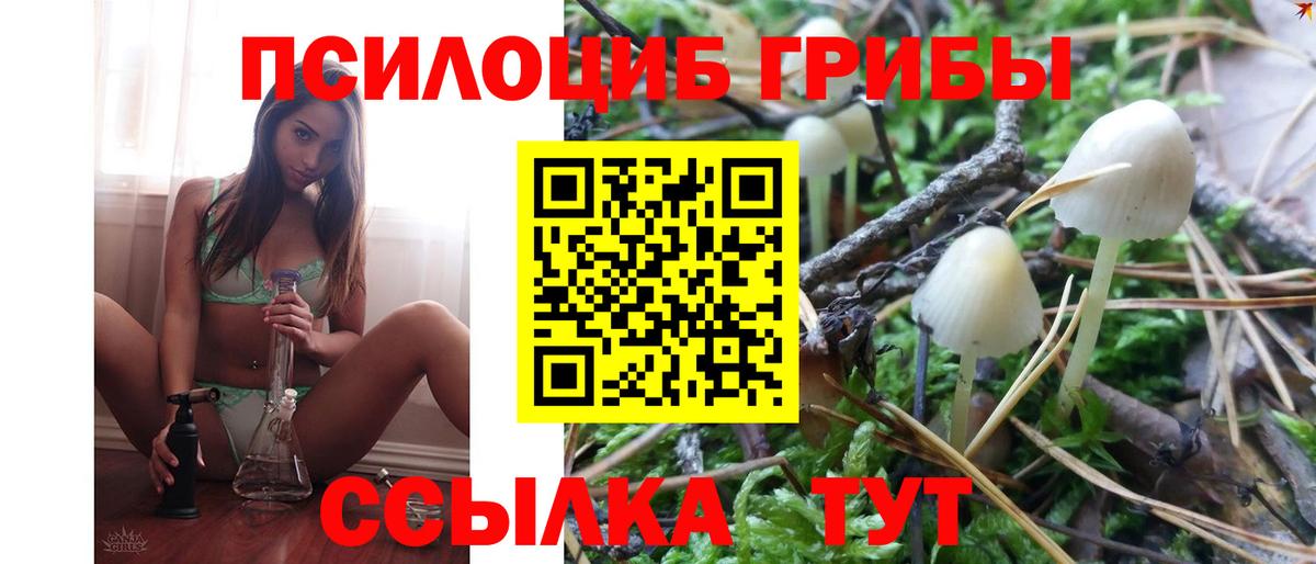 закладка  Галлюциногенные грибы прущие грибы  Вход с VPN  Ялуторовск 